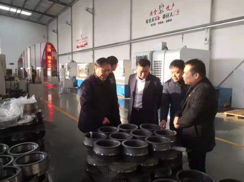 全力壯(zhuàng)大發展(zhan)新動能(néng) 打造科(ke)技創新(xīn)軸承産(chǎn)業鍊