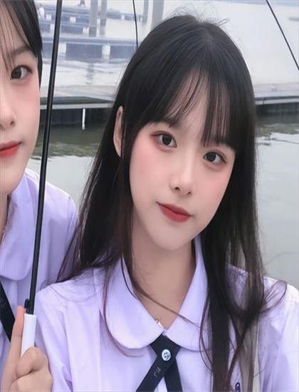 重新认识《野良猫洛克：暴走集团71》的创作历程与幕后花絮——商业与艺术的平衡